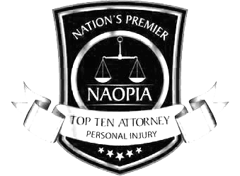 Nation's Premier Top Ten Attorney NAOPIA Badge