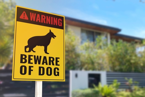 A Beware of Dog Sign in front of a gated home. Warning to visitors or burglars. Security and protection in a residential home concept.